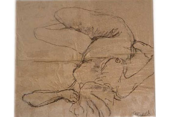 Reclining Female Nude